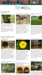 Mobile Screenshot of hobby-garten-blog.de
